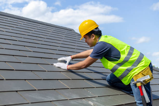 Best Roof Gutter Cleaning  in Trenton, MO