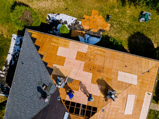 Best Flat Roof Repair Services  in Trenton, MO